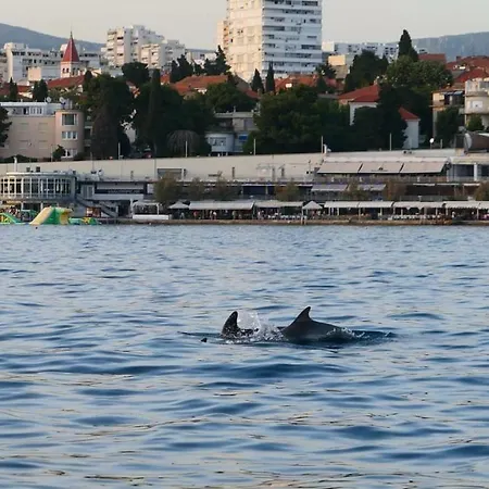 Apartment Apartments Sand Beach *